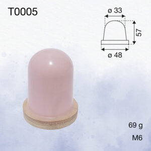 T0005