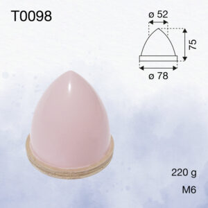 T0098