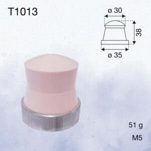 T1013