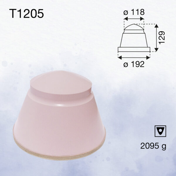 T1205