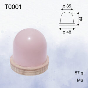 T0001
