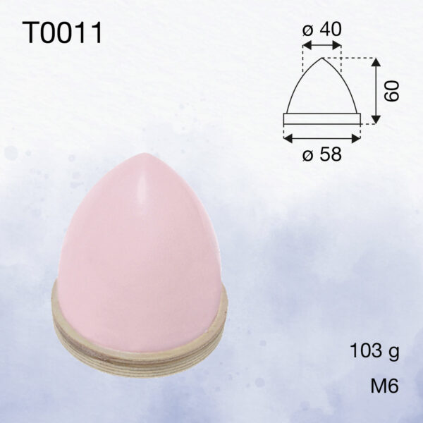 T0011