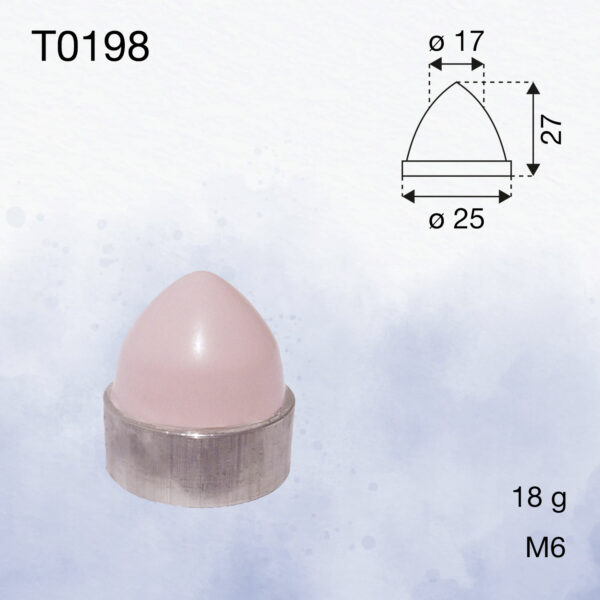 T0198