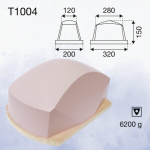 T1004