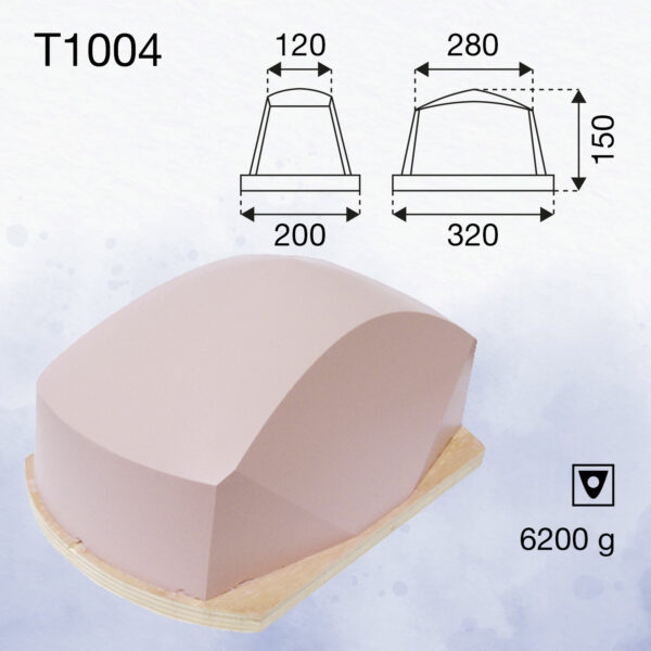 T1004
