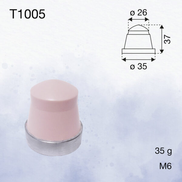 T1005