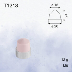 T1213