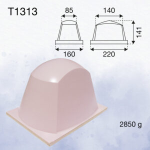 T1313