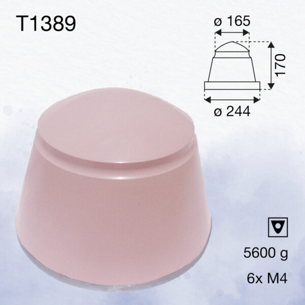 T1389