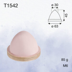 T1542