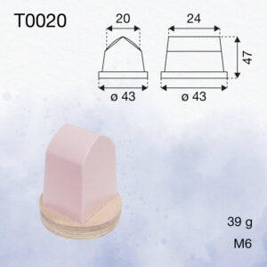 T0020