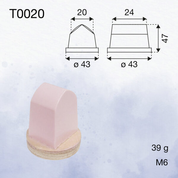 T0020