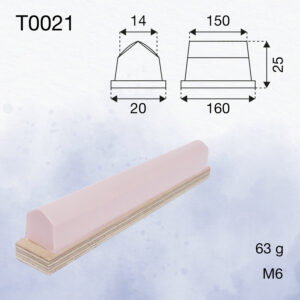 T0021
