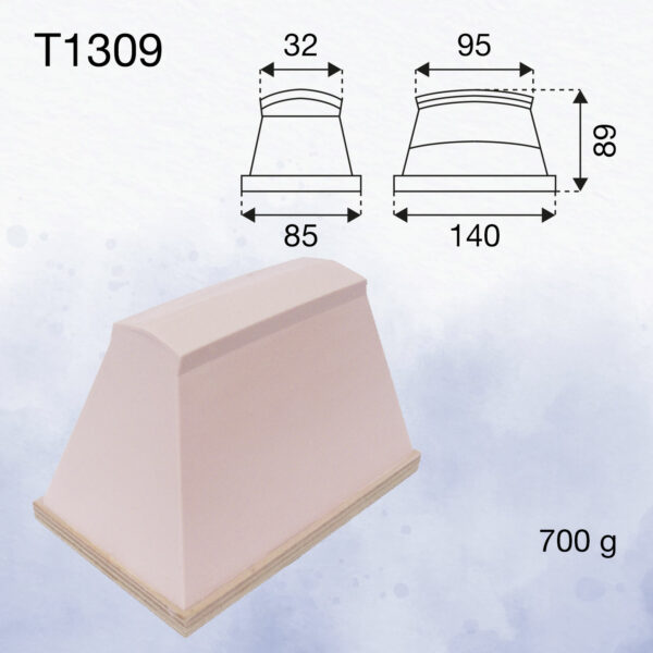 T1309