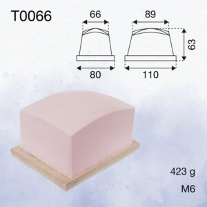 T0066