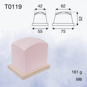 T0119