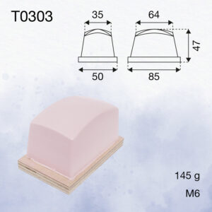 T0303