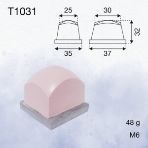 T1031