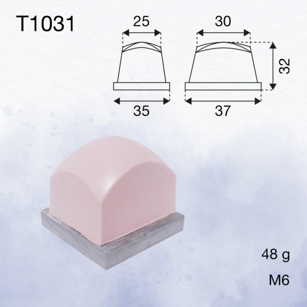 T1031