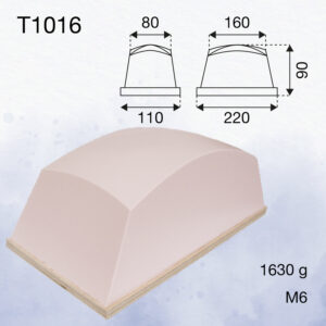 T1016