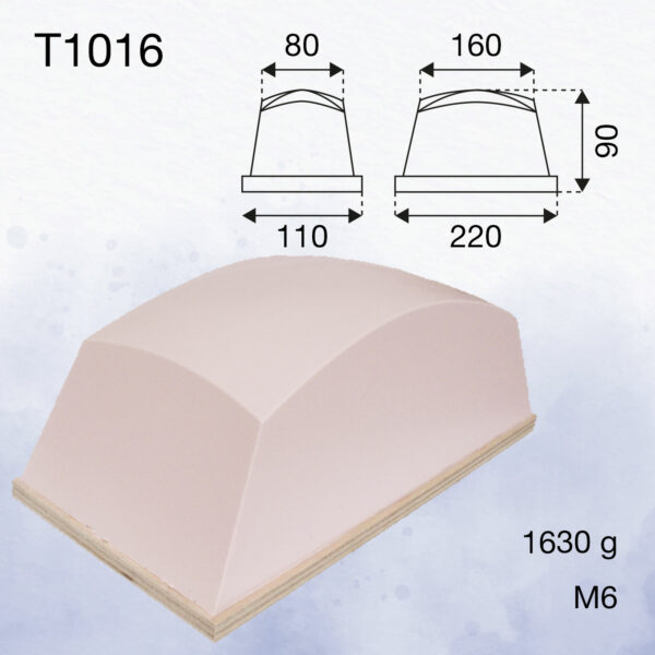 T1016